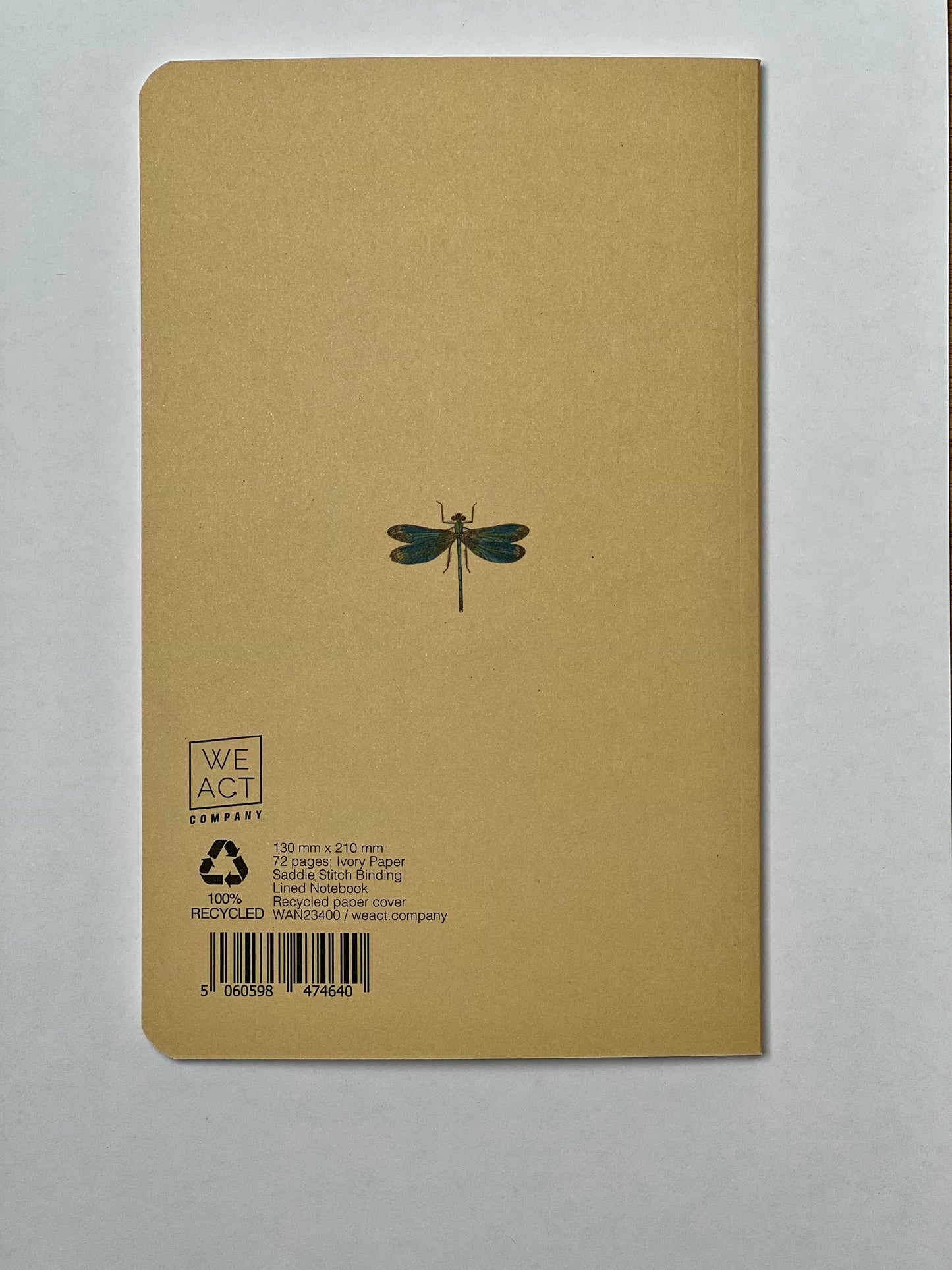 Dragonfly Dictionary Art Notebook (WAN23400)