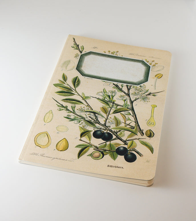 Botanical Notebook - Blackthorn - Sloe (WAN18414)