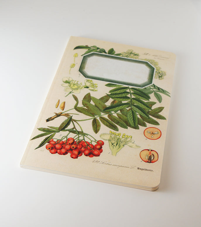 Botanical Notebook - Rowan Tree (WAN18415)