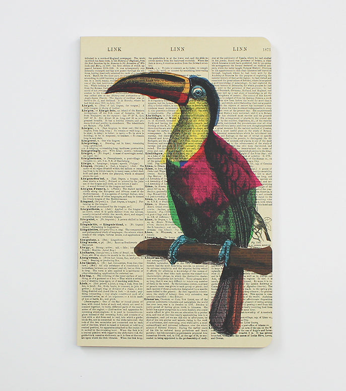 Toucan Dictionary Art Notebook (WAN18324)