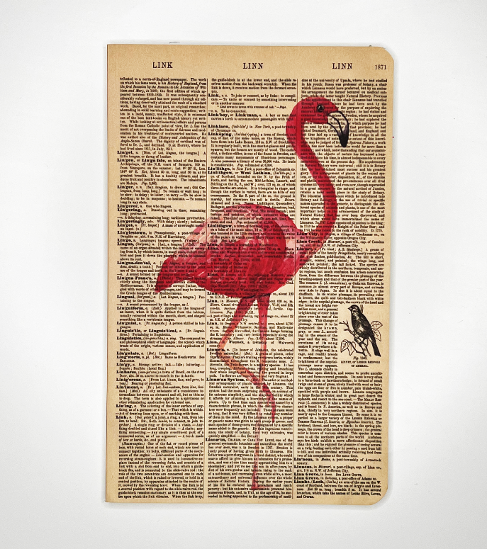 Flamingo Dictionary Art Notebook  (WAN22402)