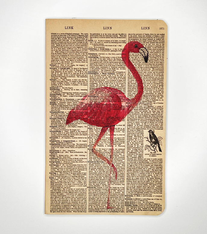 Flamingo Dictionary Art Notebook (WAN22402)