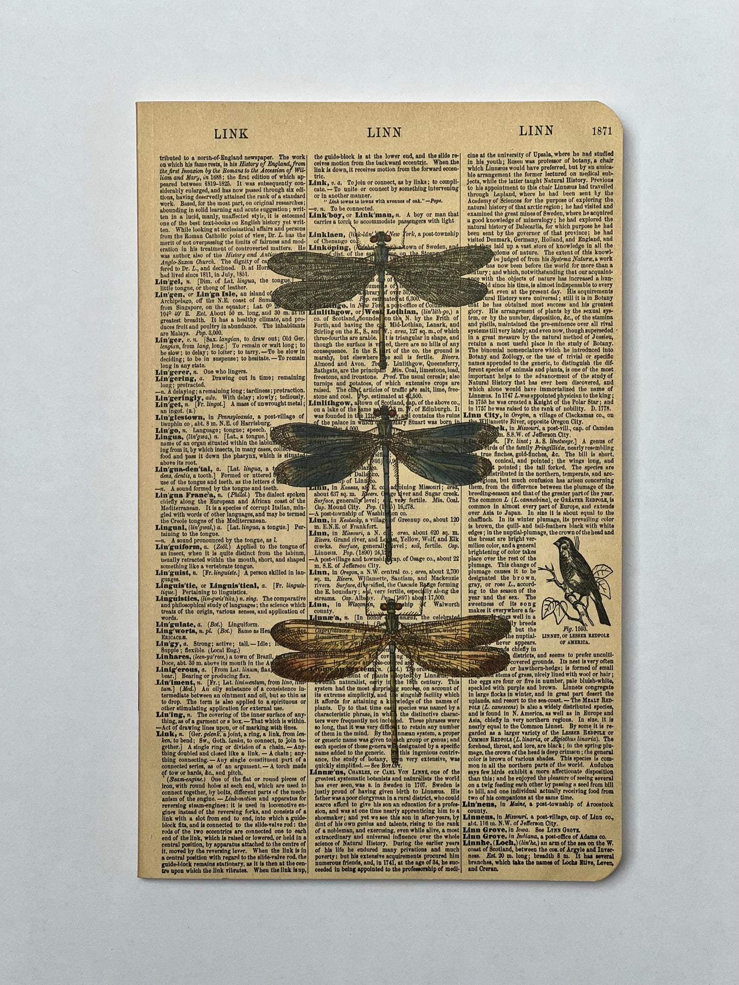 Dragonfly Dictionary Art Notebook (WAN23400)