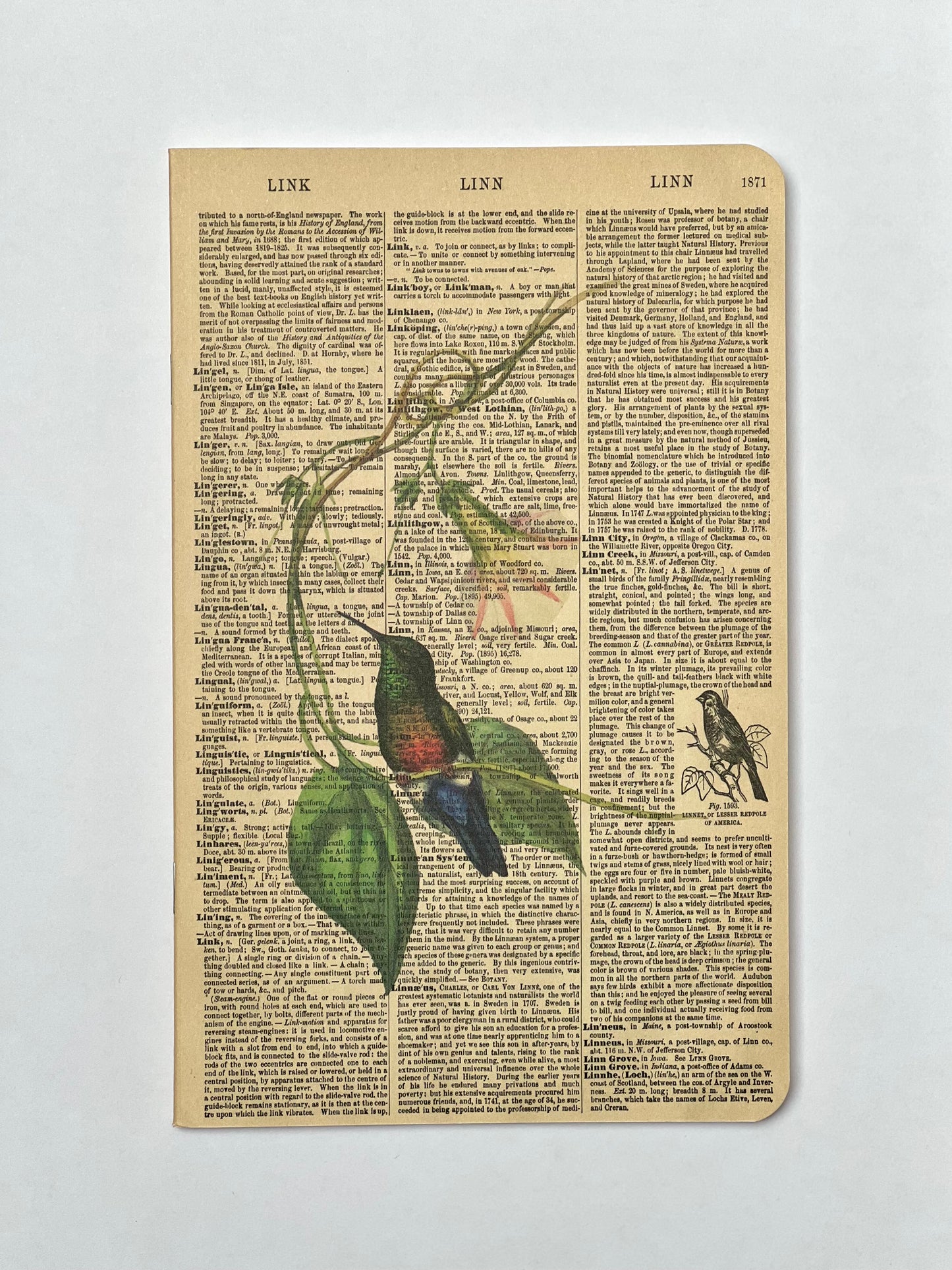 Hummingbird Dictionary Art Notebook (WAN23401)