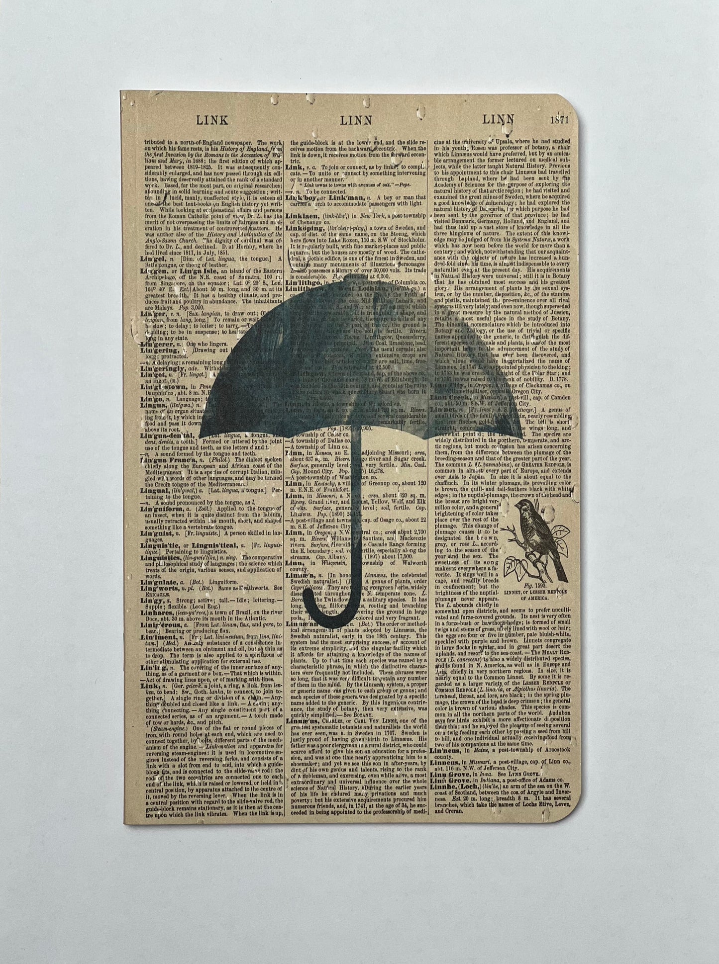 Umbrella Dictionary Art Notebook (WAN23402)