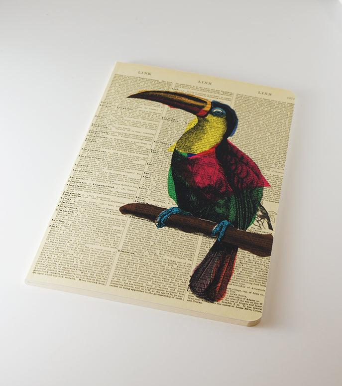 Toucan Dictionary Art Notebook (WAN18324)