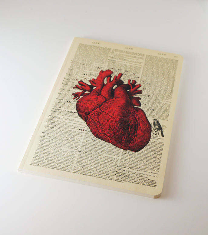 Anatomical Heart Dictionary Art Notebook (WAN18301)