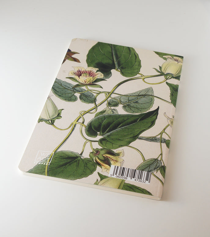 Botanical Notebook - Blue Ivy (WAN18420)
