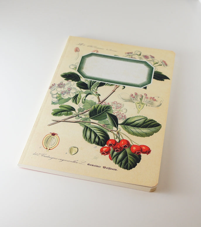 Botanical Notebook - Rosehip (WAN18413)