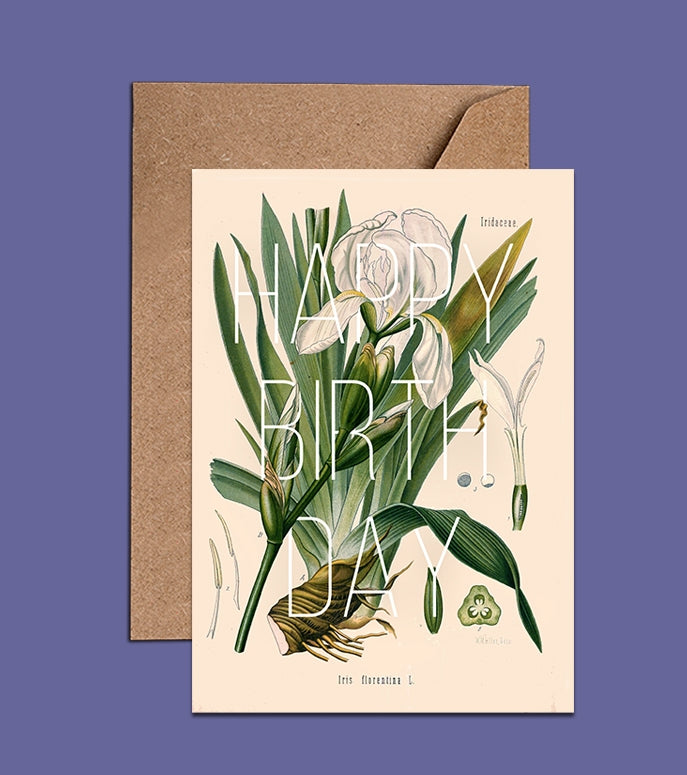 Irıs Flower Birthday Card - Floral Spring Birthday Card (WAC18138)