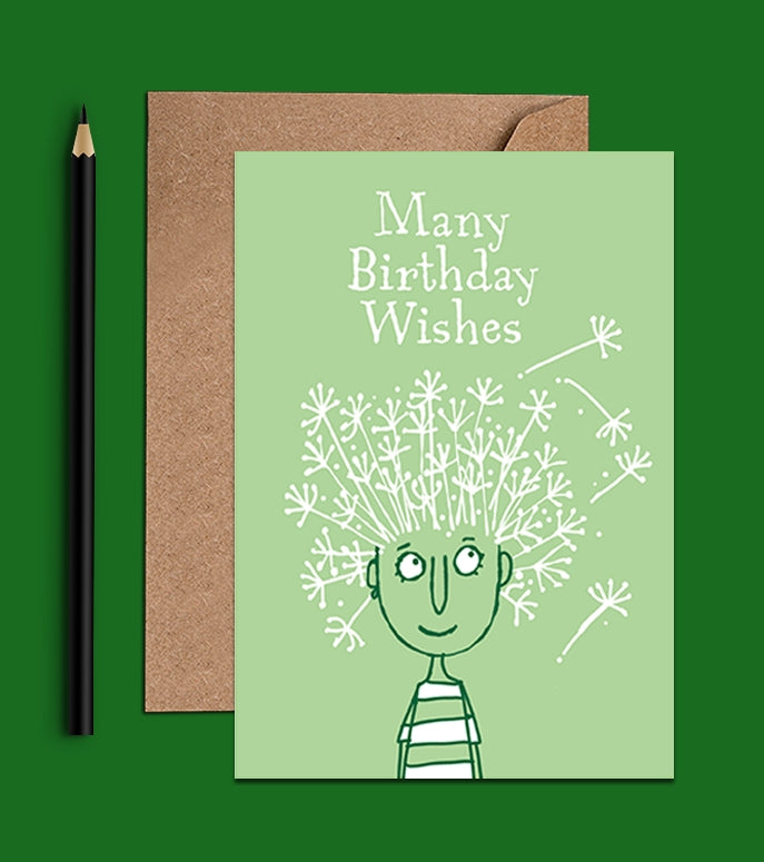 Many Brithday Wishes Birthday Card (WAC18155)