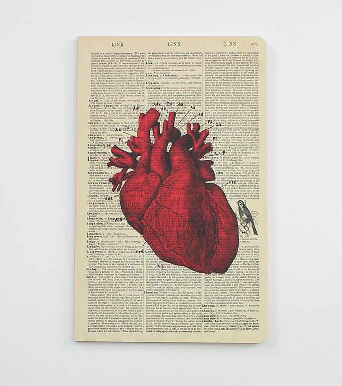 Anatomical Heart Dictionary Art Notebook (WAN18301)