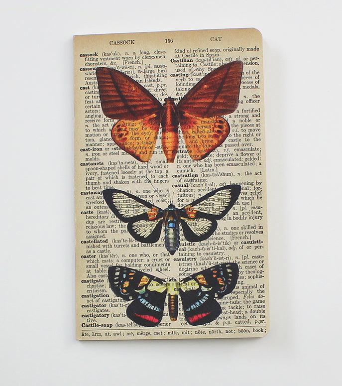 Butterflies Dictionary Art Notebook (WAN20401)