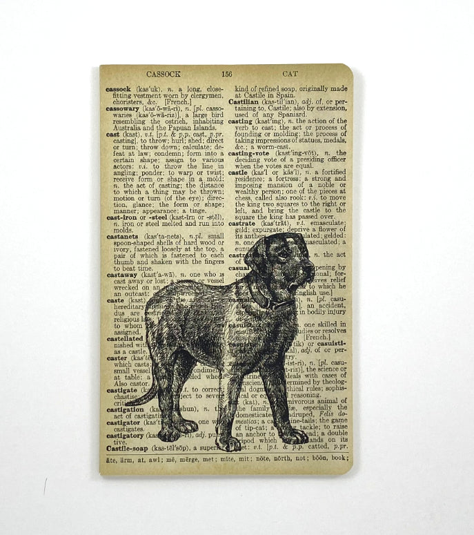 Vintage Dog Dictionary Art Notebook (WAN21403)
