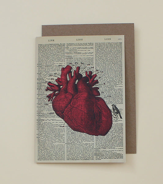 Anatomical Heart Dictionary Art Card (WAC20513)
