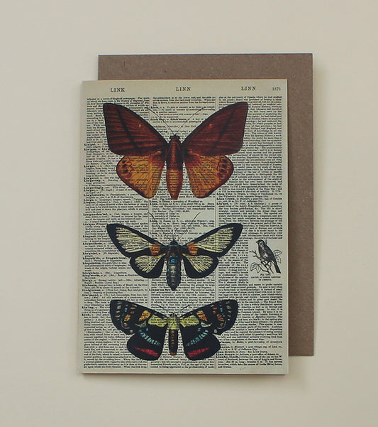 Butterflies Dictionary Art Card (WAC20515)